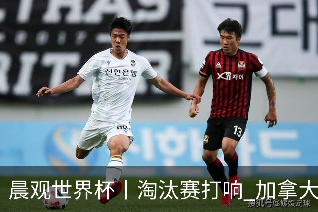 晨观世界杯丨淘汰赛打响 加拿大“绝杀”首进16强