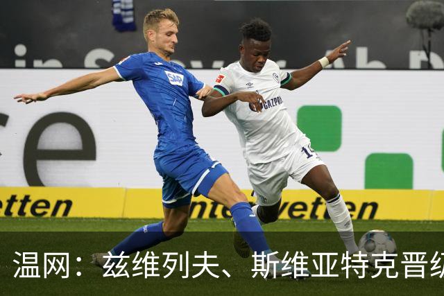 温网：兹维列夫、斯维亚特克晋级 小威出局